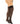 Sheer Thigh High with Stay Up Lace Top Black Queen