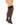 Sheer Thigh High with Stay Up Lace Top Black Queen