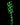 Stoner Vibes Glow in the Dark Paddle - Green