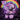 Purple Master Series Raven Plum Bondage Pony Plushie