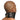 Master Series Hard Stance Padded Locking Posture Collar