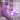 Purple pulsating clitoral stimulator with 'Pulsing Euphoria' text and 'Bloomgasm' branding.