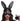 Black bunny mask with ears held by a woman on a white background