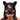 Black cat mask with ears worn by a model on a white background