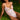 Woman wearing a pink bodysuit on grass
