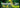 Promotional graphic with the text 'CREATURE COCKS ARE YOU READY TO BE RAVAGED?' over a dark green and yellow smoky background, plus a bright green 'SHOP NOW' button.