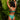 Woman in teal lingerie standing against a tropical leaf background