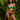 Woman wearing a teal lingerie set in a tropical setting with green foliage.
