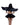Woman wearing a black angel costume with wings on a white background