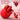 Red BloomGASM Kissing+ Licking rose toy shown on a soft pink background with feature callouts: 'Kissing Modes 10X' and 'Vibrating Functions 10X'.