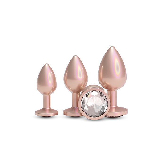 Rear Assets Metal Anal Plug Trainer Kit for Beginners Adult Toy Box Rear Assets Metal Anal Plug Trainer Kit for Beginners Adult Toy Box