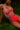 Woman wearing a neon pink lace lingerie set on grass
