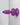 Threesome Wall Banger Plug - Purple