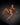 Whip Smart Glow In The Dark Bed Restraints & Cuffs