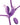 Fantasy For Her Ultimate G-spot Butterfly Strap On