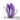 We-Vibe Sync O Couples Vibrator - Purple