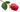 Bloomgasm Wild Rose 10X Silicone Clit Stimulator