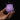 Bloomgasm Wild Rose 10X Suction Clit Stimulator - Purple